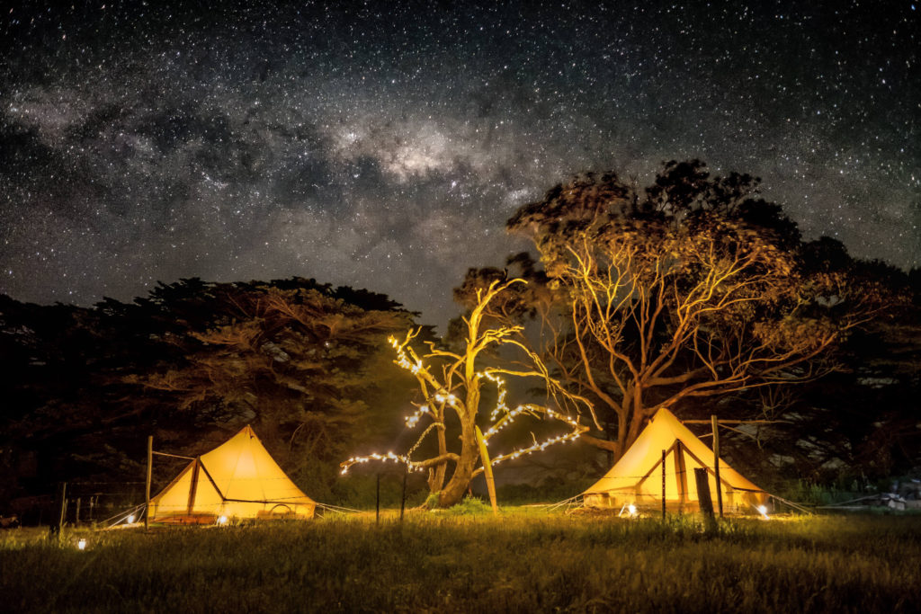 Two tents set up at night in the aussie bush with a starry ski and string lights