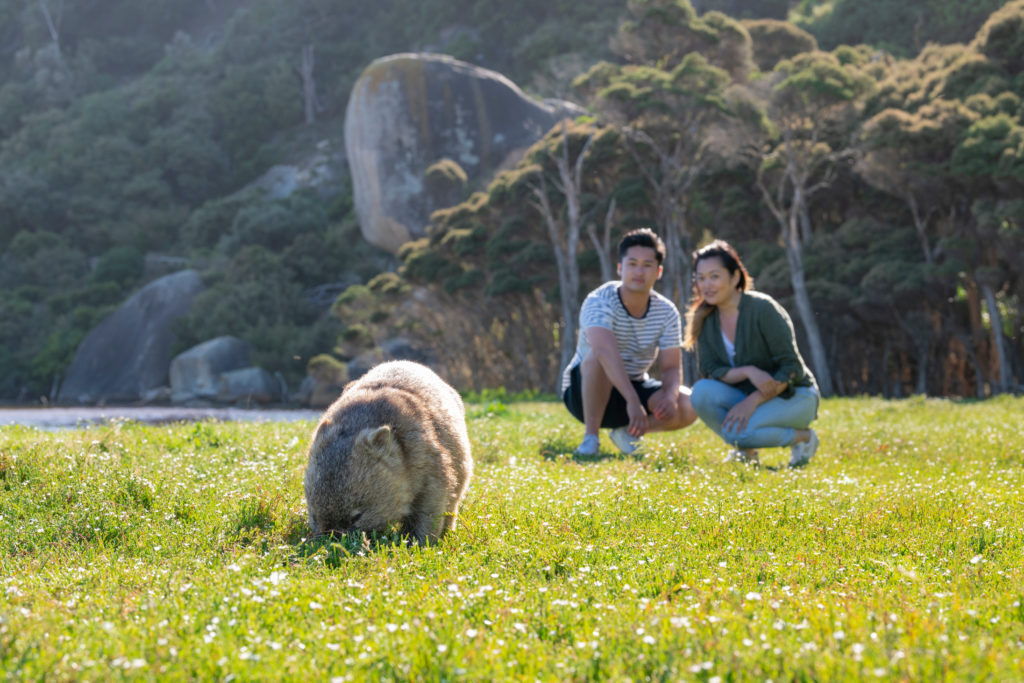 A man and woman looking at a woman in a grassy field