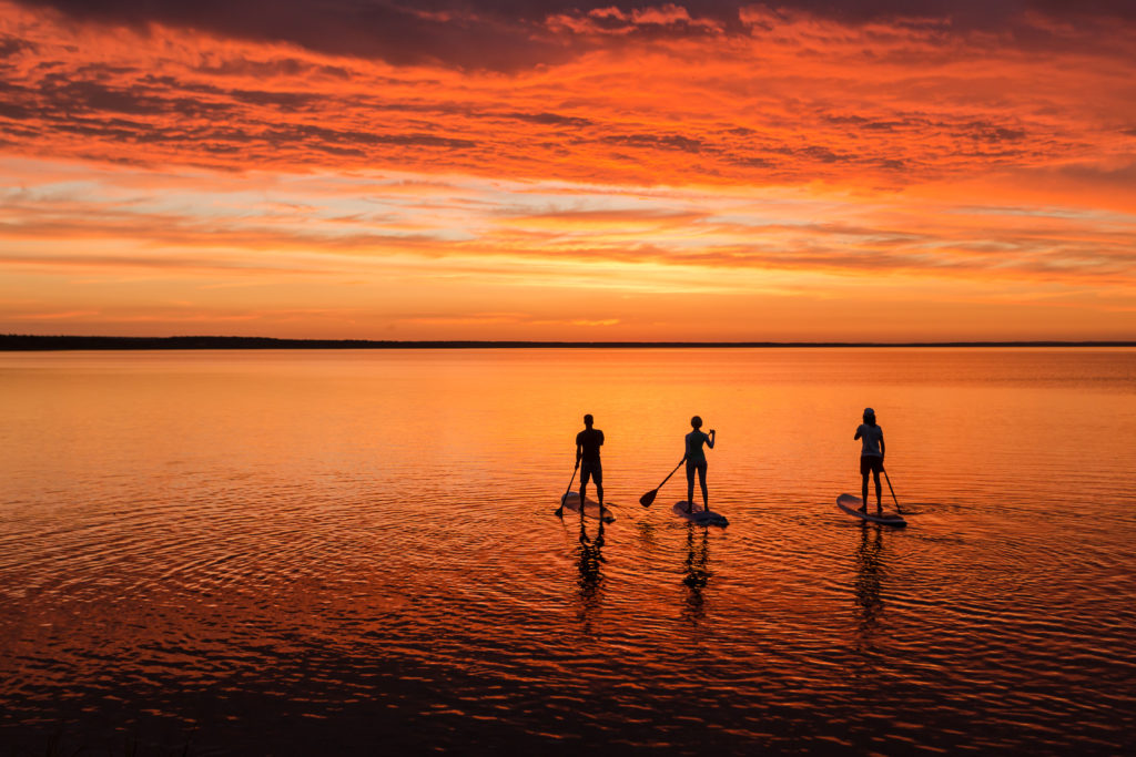 Three people standup paddleboarding on the ocean with a warm sunset