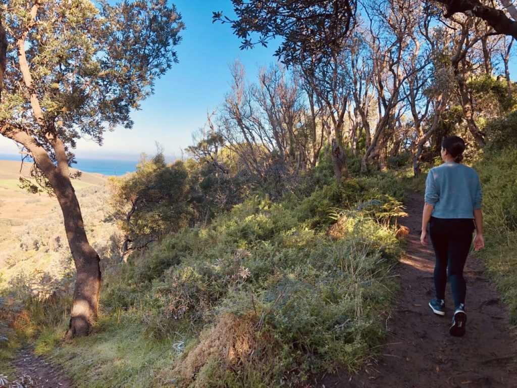 A woman walking on a trail hiking near melbourne